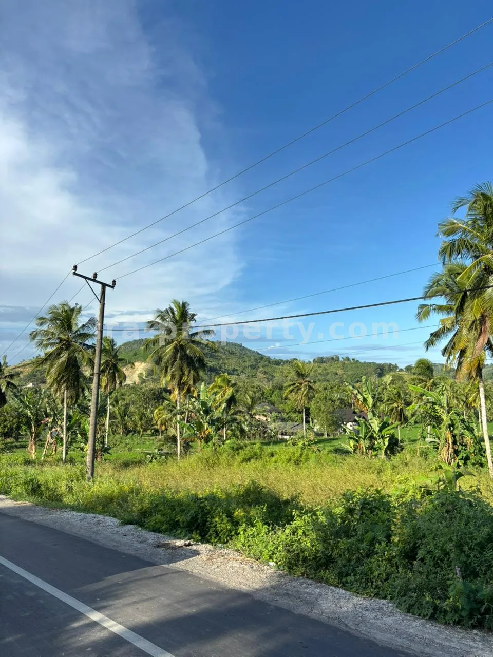 Strategic 50-Are Roadside Plot in Pengembur – Minutes from Lombok Airport & Southern Beaches - 95-2 - 5