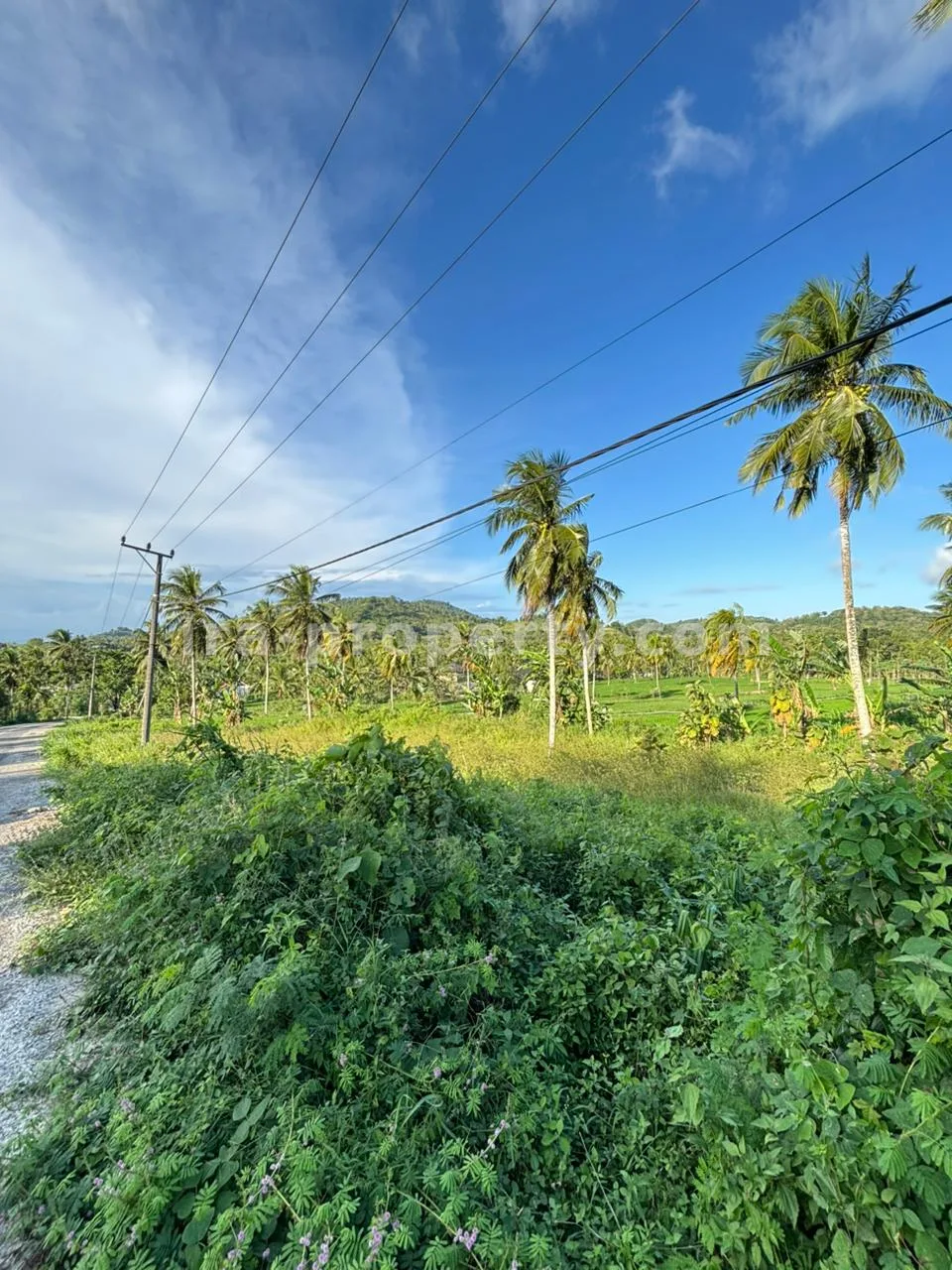Strategic 50-Are Roadside Plot in Pengembur – Minutes from Lombok Airport & Southern Beaches - 95-2 - 6