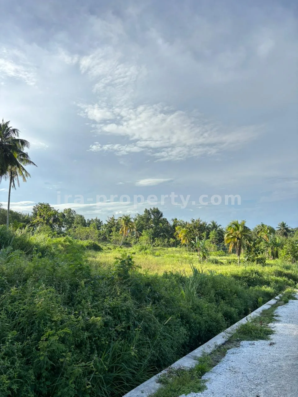 Strategic 50-Are Roadside Plot in Pengembur – Minutes from Lombok Airport & Southern Beaches - 95-2 - 8