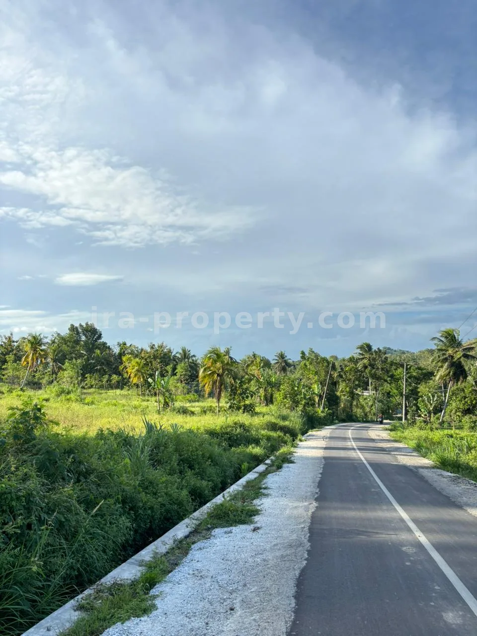 Strategic 50-Are Roadside Plot in Pengembur – Minutes from Lombok Airport & Southern Beaches - 95-2 - 9