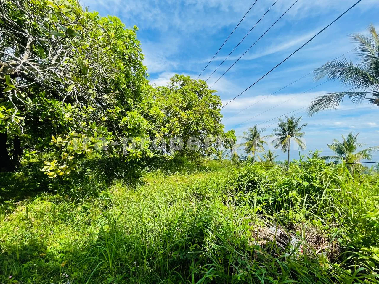 Vila Mewah dengan Pemandangan Laut di Torok, Lombok - 399-3 - 1
