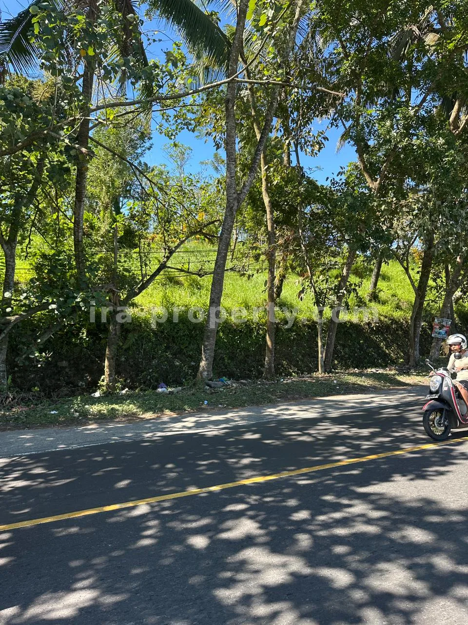 Main Road Land for Sale in Mantang, Central Lombok - 96-2 - 2