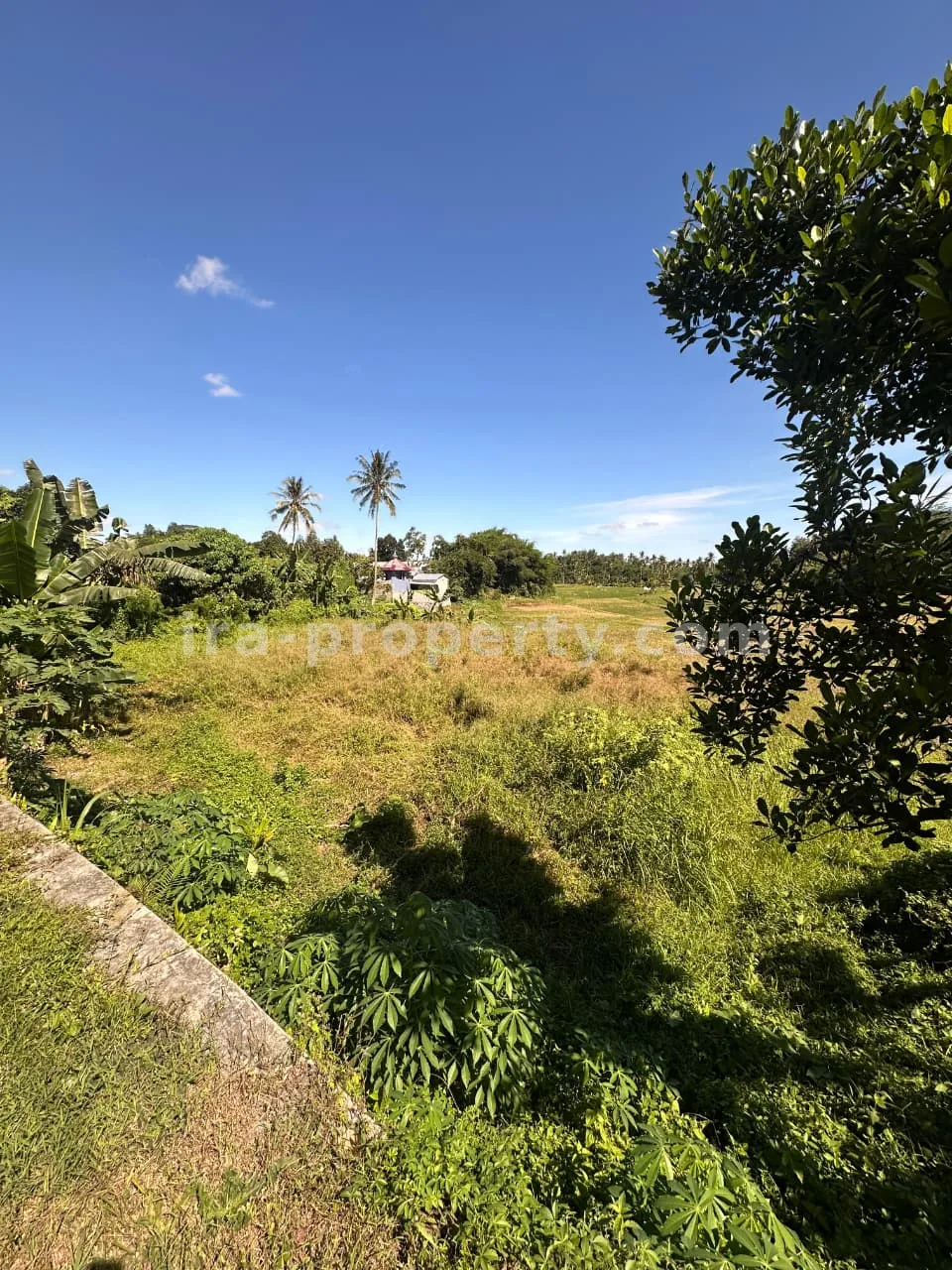 Main Road Land for Sale in Mantang, Central Lombok - 96-2 - 3