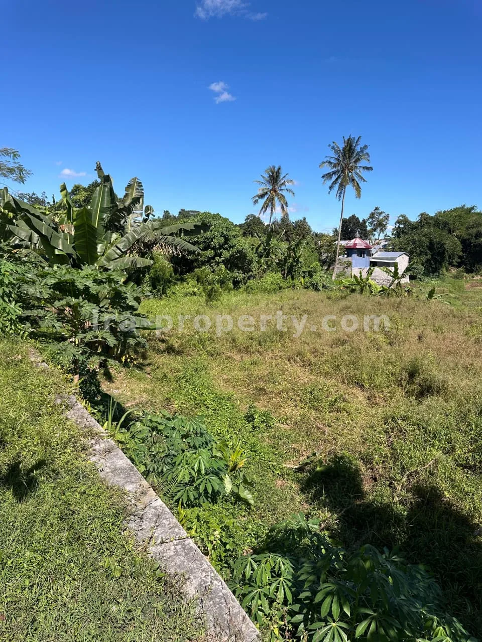 Main Road Land for Sale in Mantang, Central Lombok - 96-2 - 4