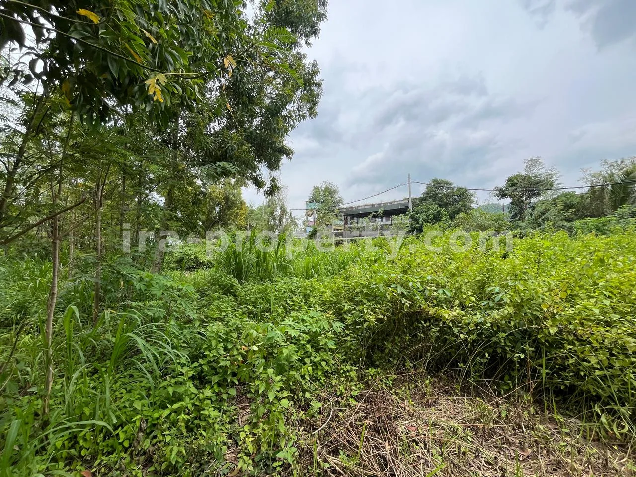 Premium Land for Sale in Central Kuta Mandalika, Lombok – Prime Investment Opportunity - 546 - 2