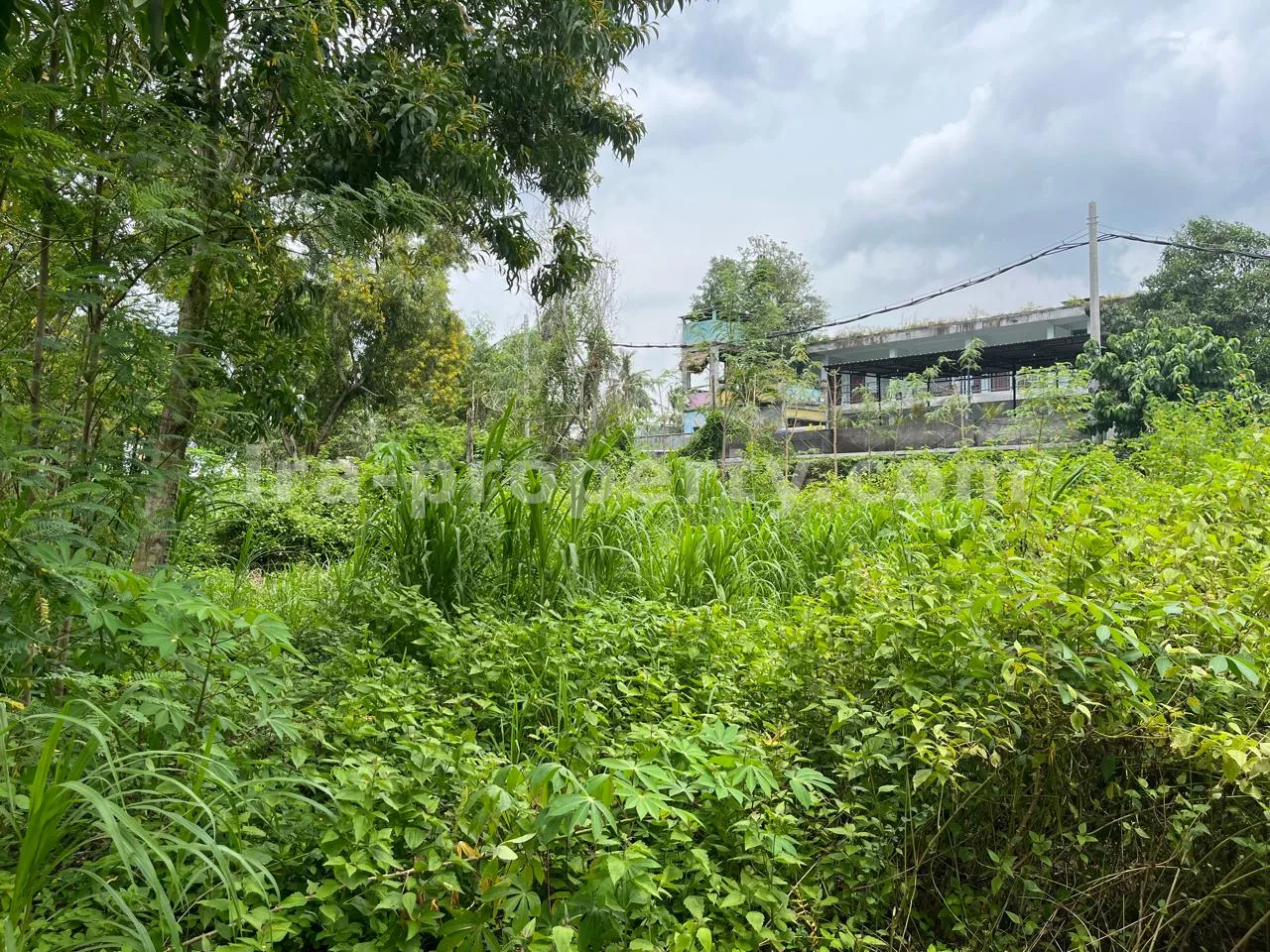 Premium Land for Sale in Central Kuta Mandalika, Lombok – Prime Investment Opportunity - 546 - 5