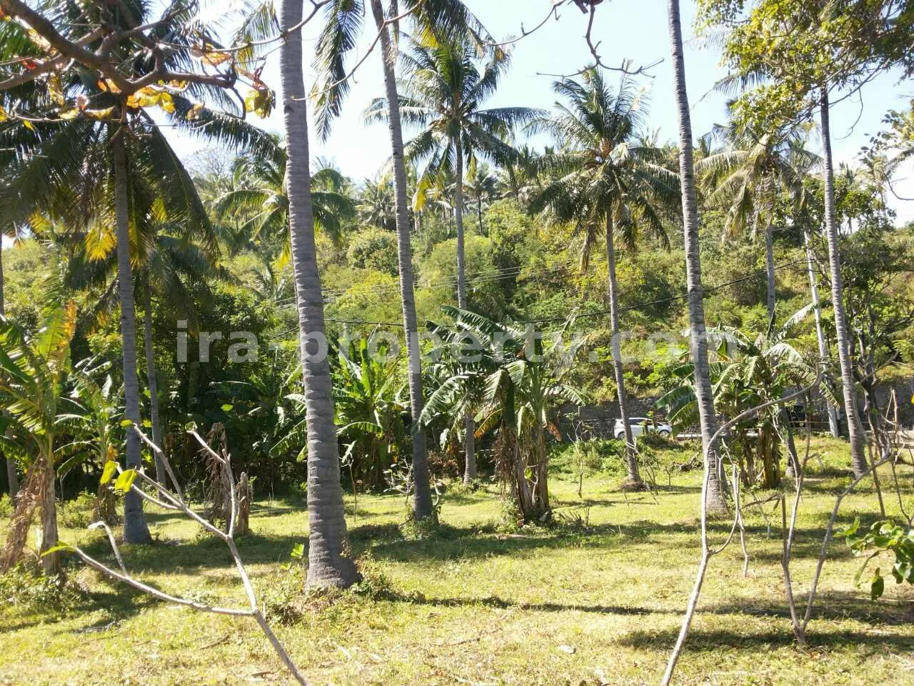 Tanah Resort Pantai Depan Langka 50-Are – Koridor Senggigi Utama Terbaik (Pemandangan Gunung Agung) - 380-2 - 4