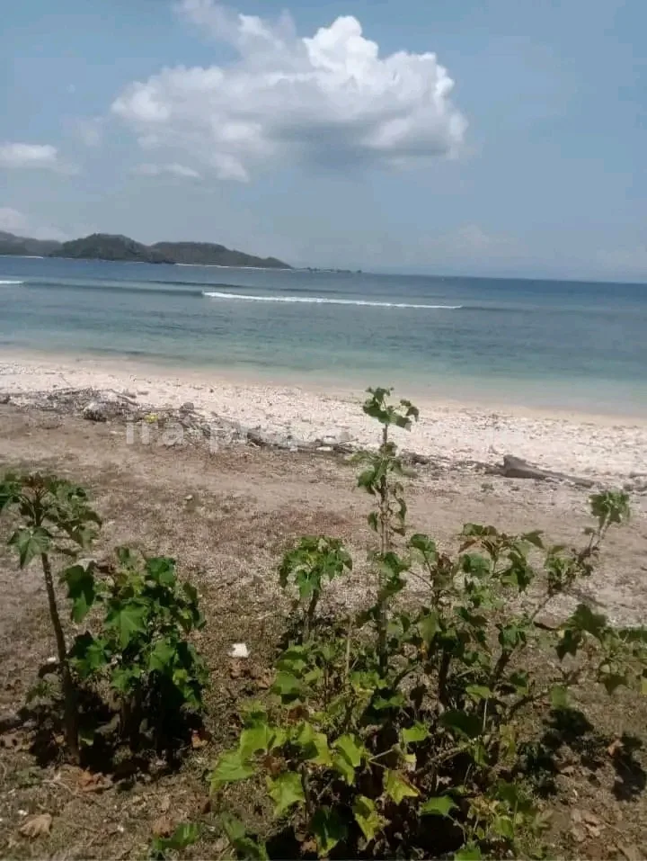 Tanah Pantai Depan Dijual di Gili Asahan, Lombok – Investasi Pantai Putih Pasir Terbaik - 110-2 - 3