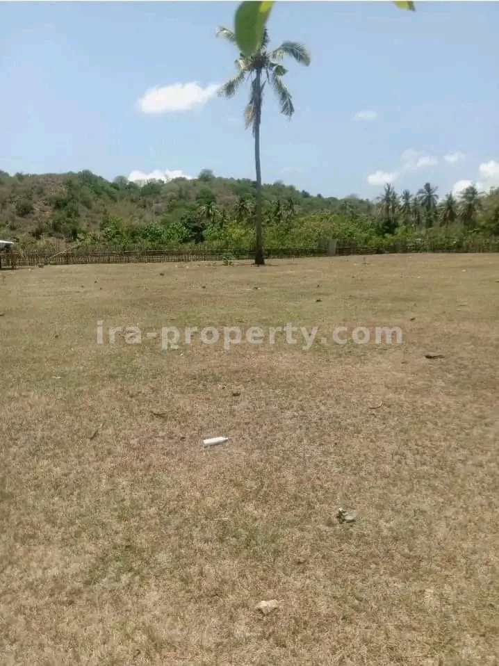 Tanah Pantai Depan Dijual di Gili Asahan, Lombok – Investasi Pantai Putih Pasir Terbaik - 110-2 - 4