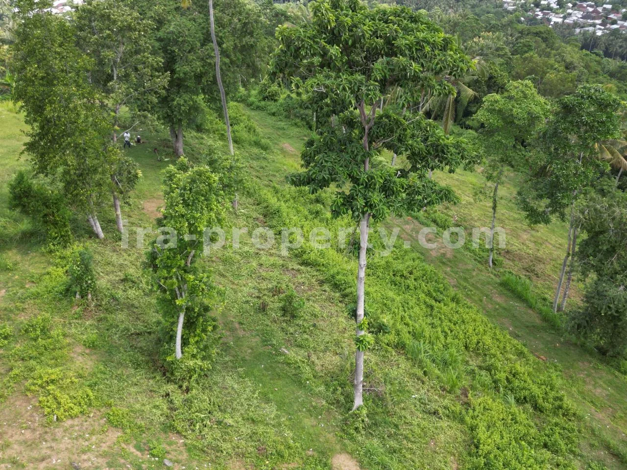 Tanah Premium di Bukit Senteluk, Batu Layar, Lombok - X35752 - 4