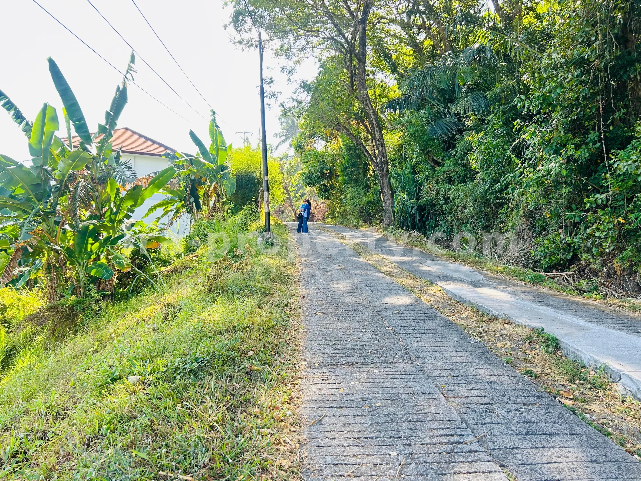 Tanah Premium Pemandangan Laut untuk Dijual di The Hill, Batu Layar – Dekat Senggigi, Lombok - 405 - 5