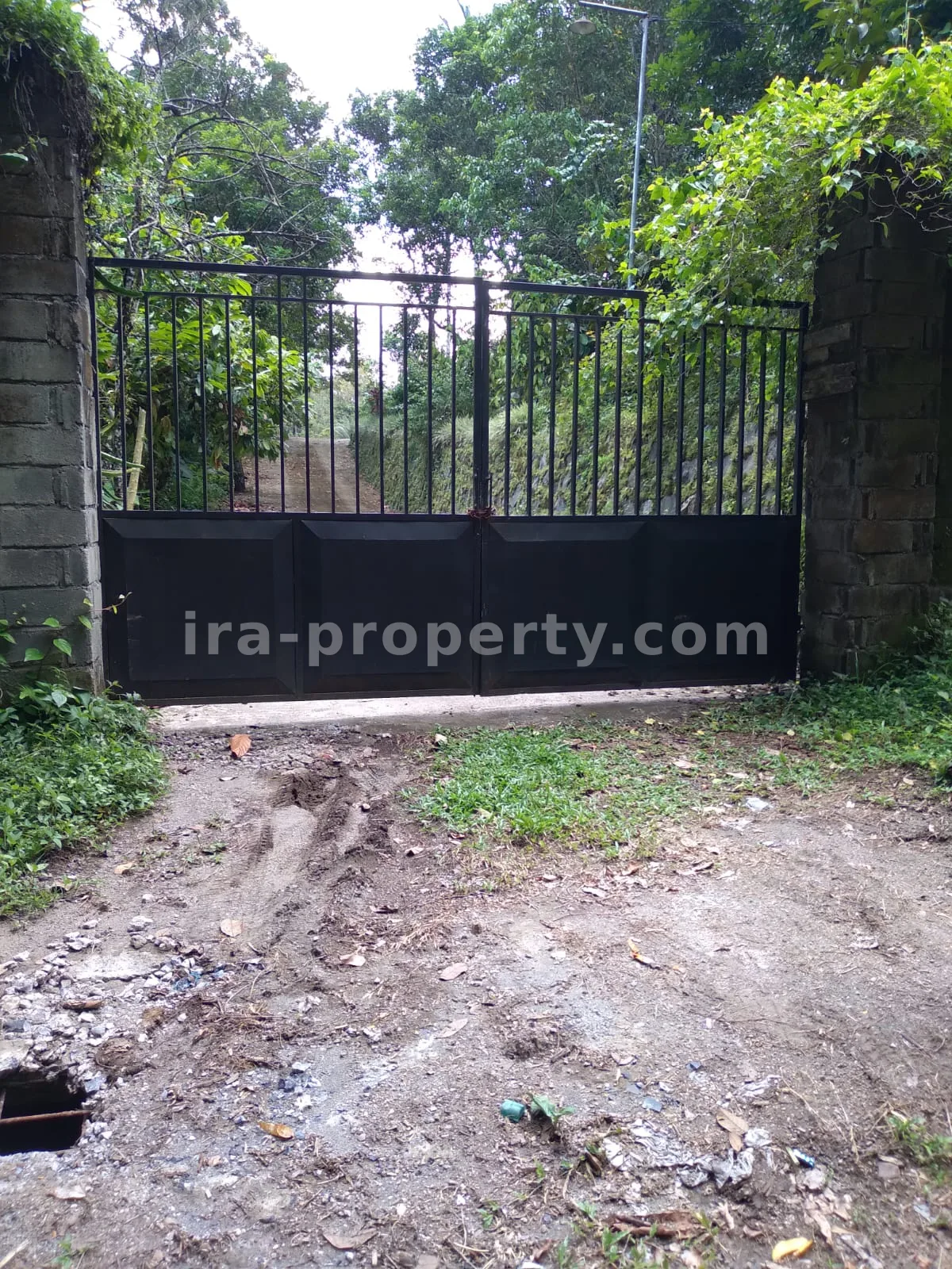 Garden Estate for Sale in Narmada Near Sesaot, West Lombok - 424 - 10