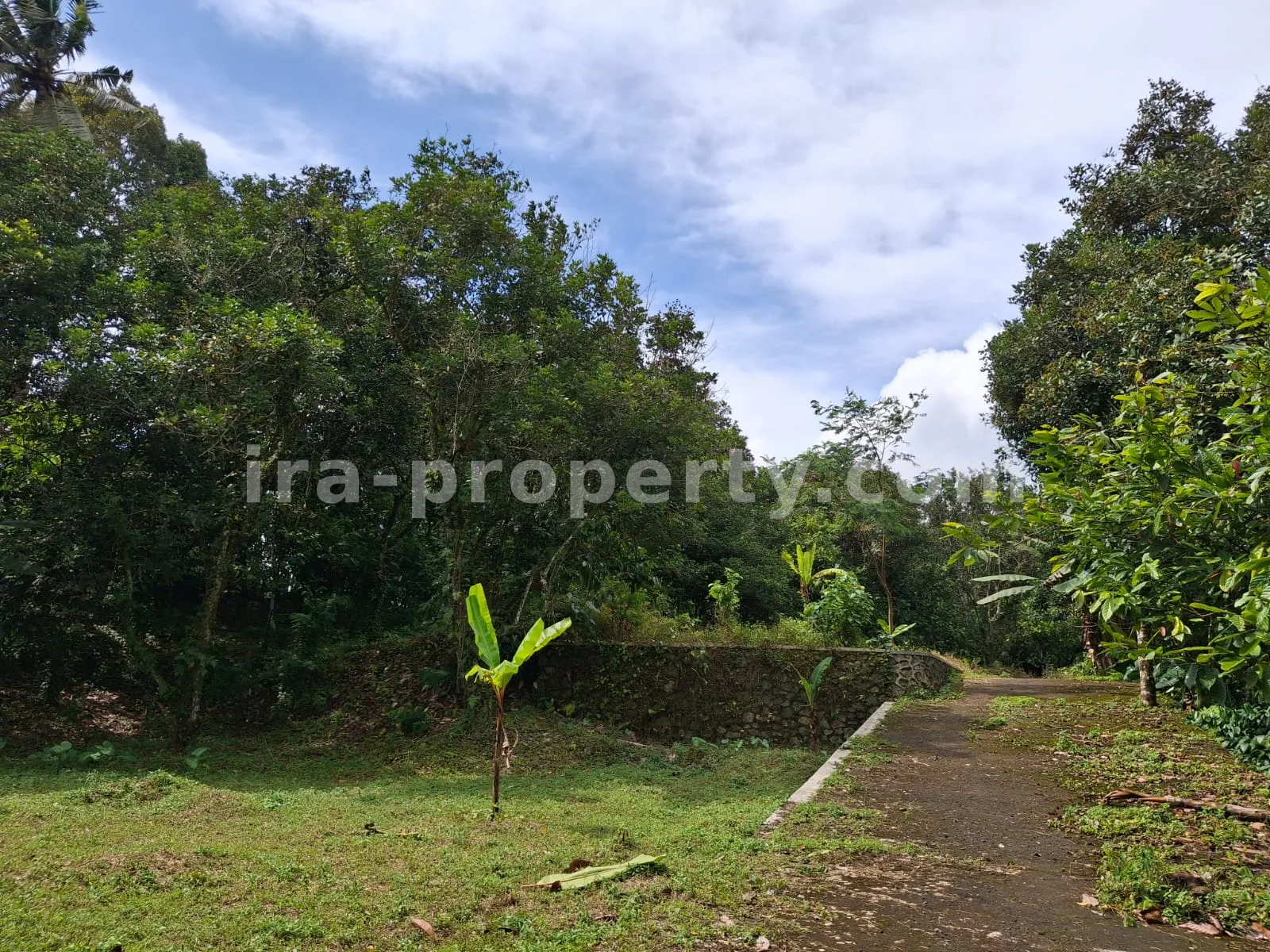 Garden Estate for Sale in Narmada Near Sesaot, West Lombok - 424 - 2