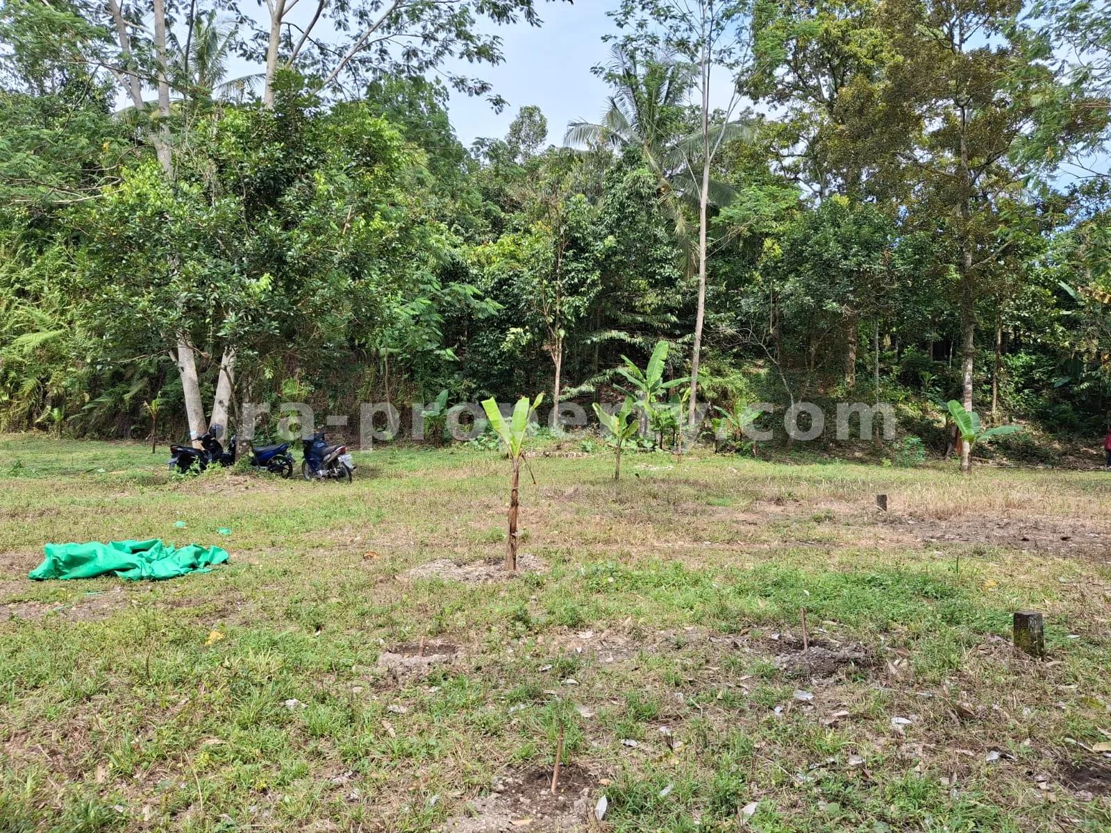 Garden Estate for Sale in Narmada Near Sesaot, West Lombok - 424 - 4