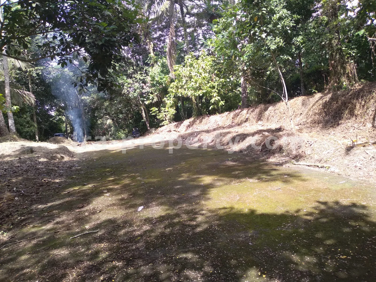 Garden Estate for Sale in Narmada Near Sesaot, West Lombok - 424 - 5