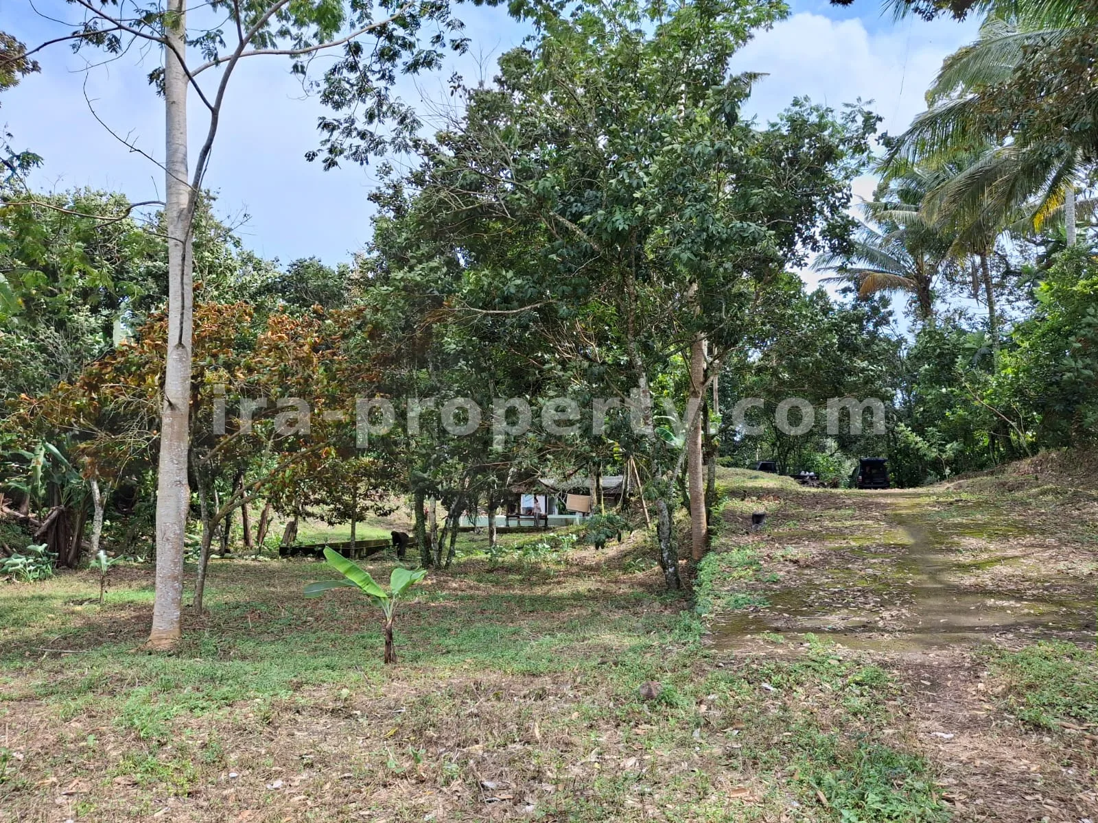 Garden Estate for Sale in Narmada Near Sesaot, West Lombok - 424 - 6