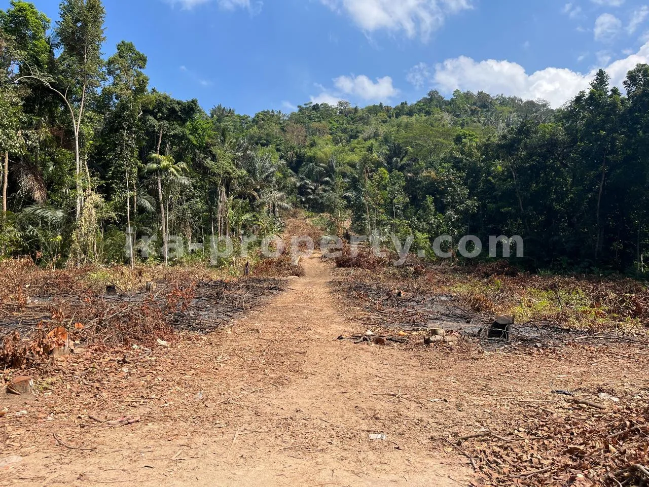Land Plot for Sale in Kekait, Gunung Sari, West Lombok - 526 - 7