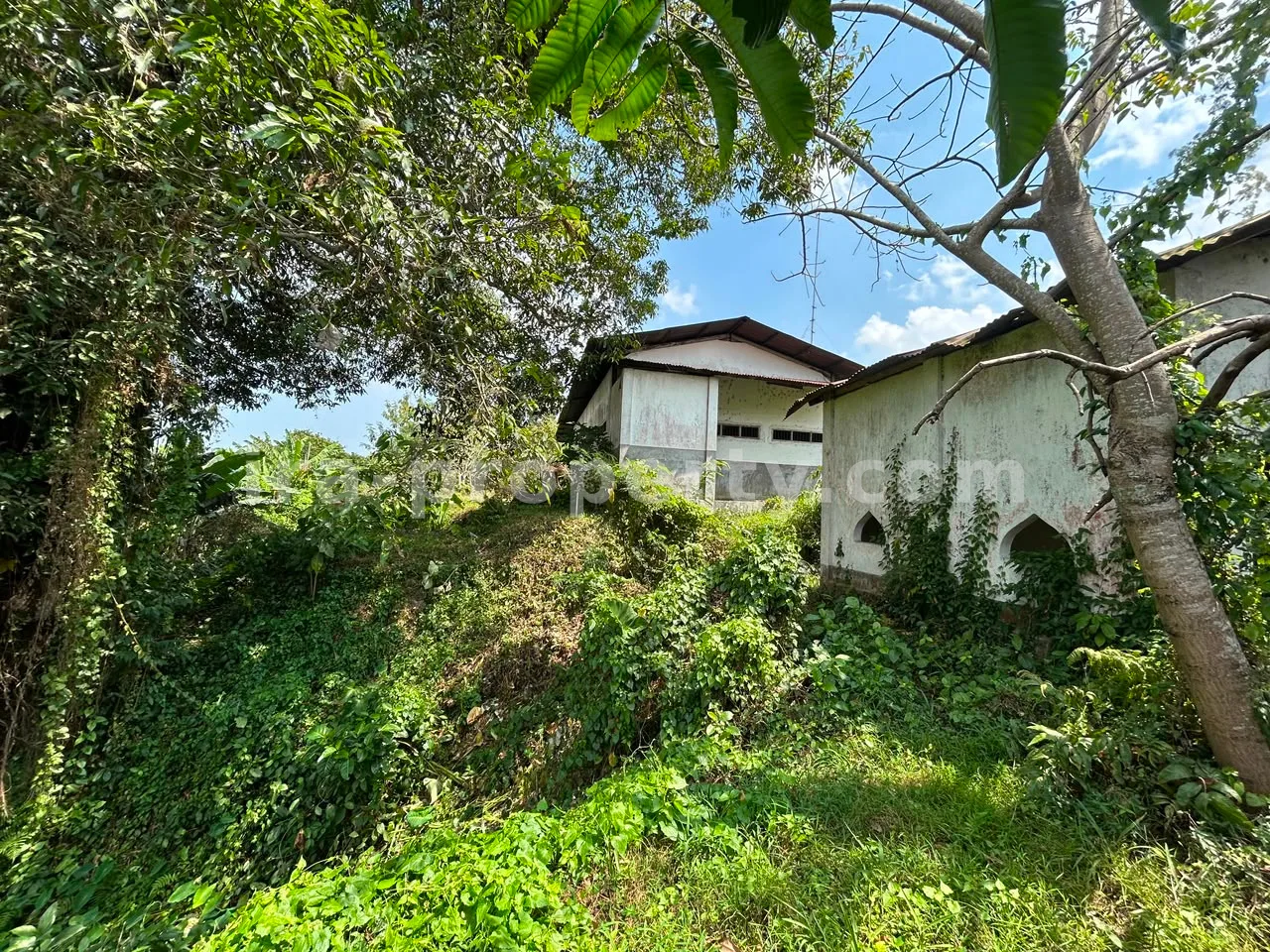 Large Warehouse Complex for Sale in Lingsar, West Lombok - 83-3 - 2