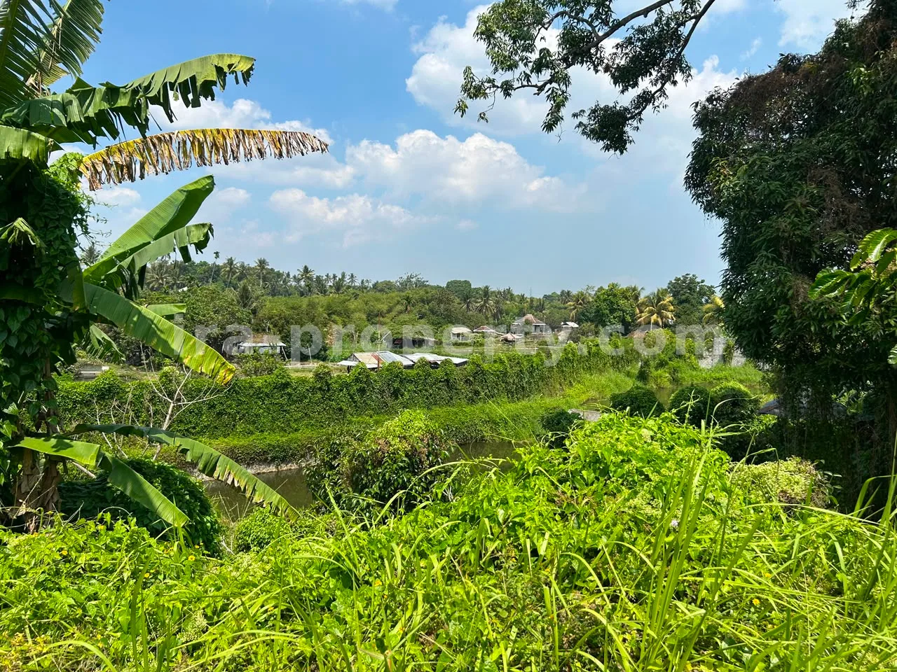 Large Warehouse Complex for Sale in Lingsar, West Lombok - 83-3 - 3