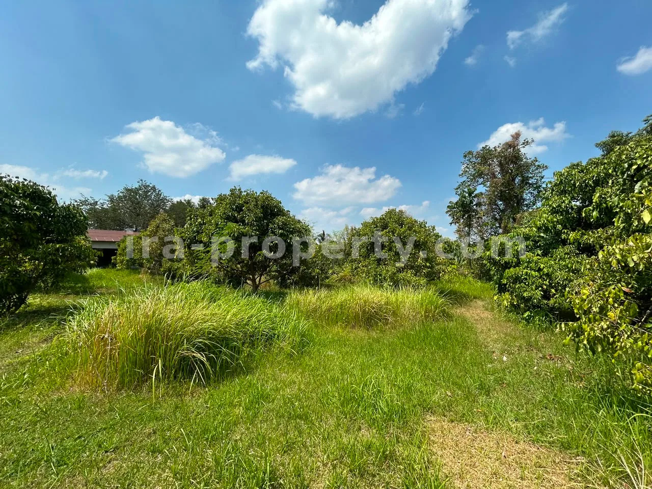Large Warehouse Complex for Sale in Lingsar, West Lombok - 83-3 - 4