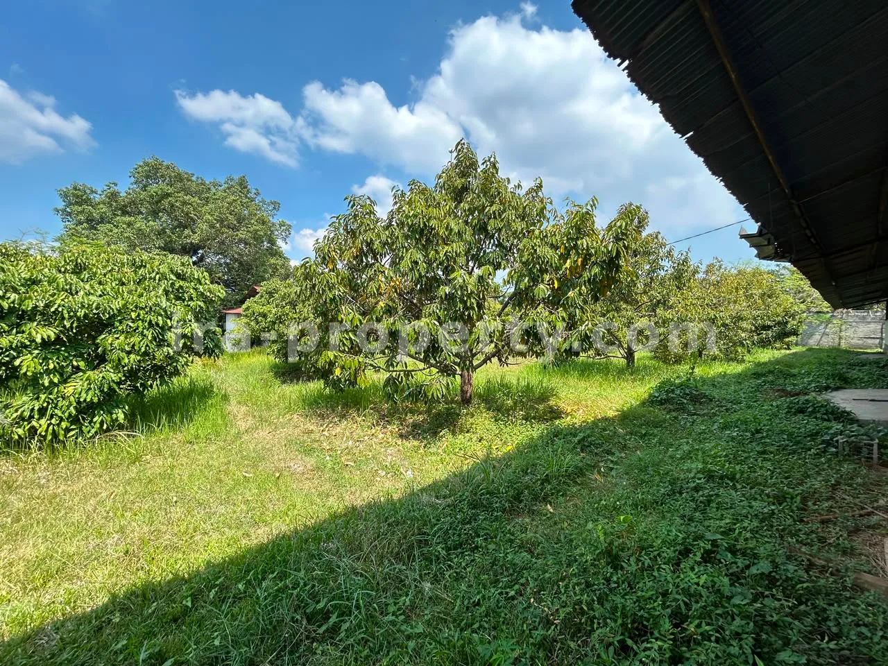 Large Warehouse Complex for Sale in Lingsar, West Lombok - 83-3 - 5