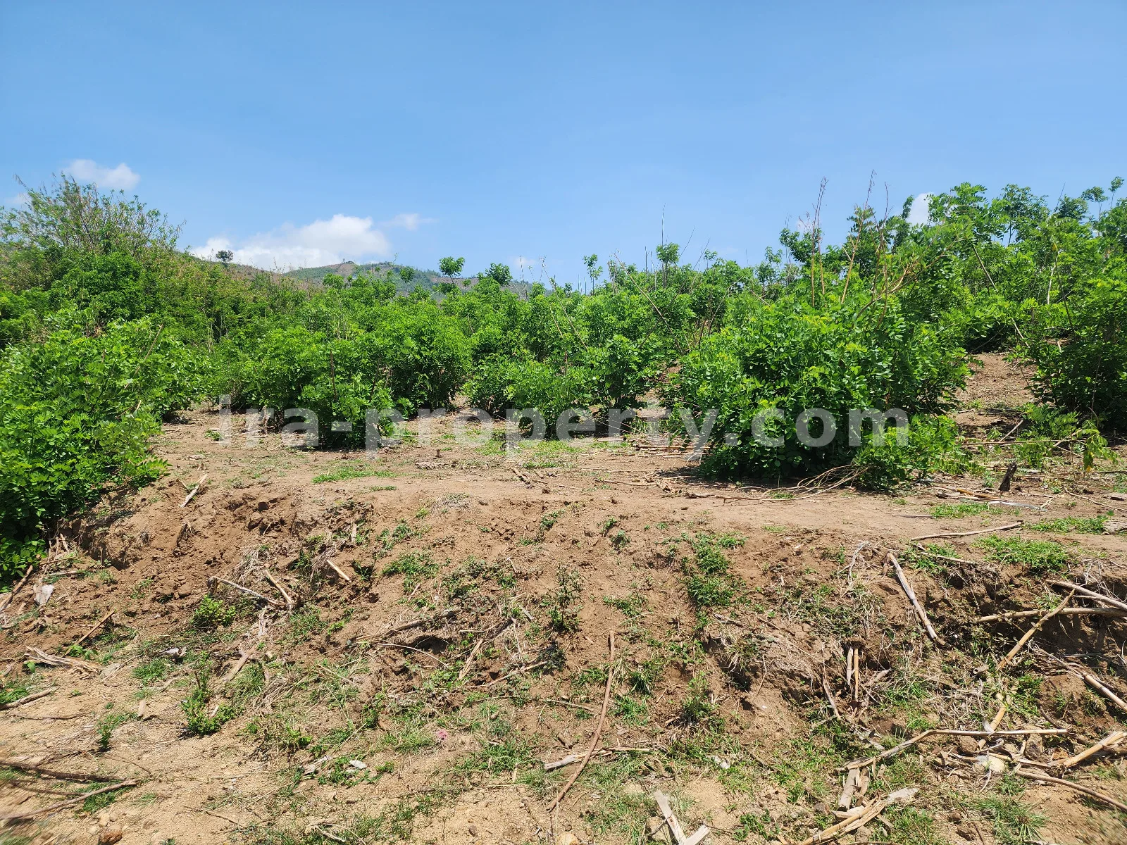 Tanah dengan Pemandangan Laut di Tawun, Sekotong, Lombok Barat - 212 - 3