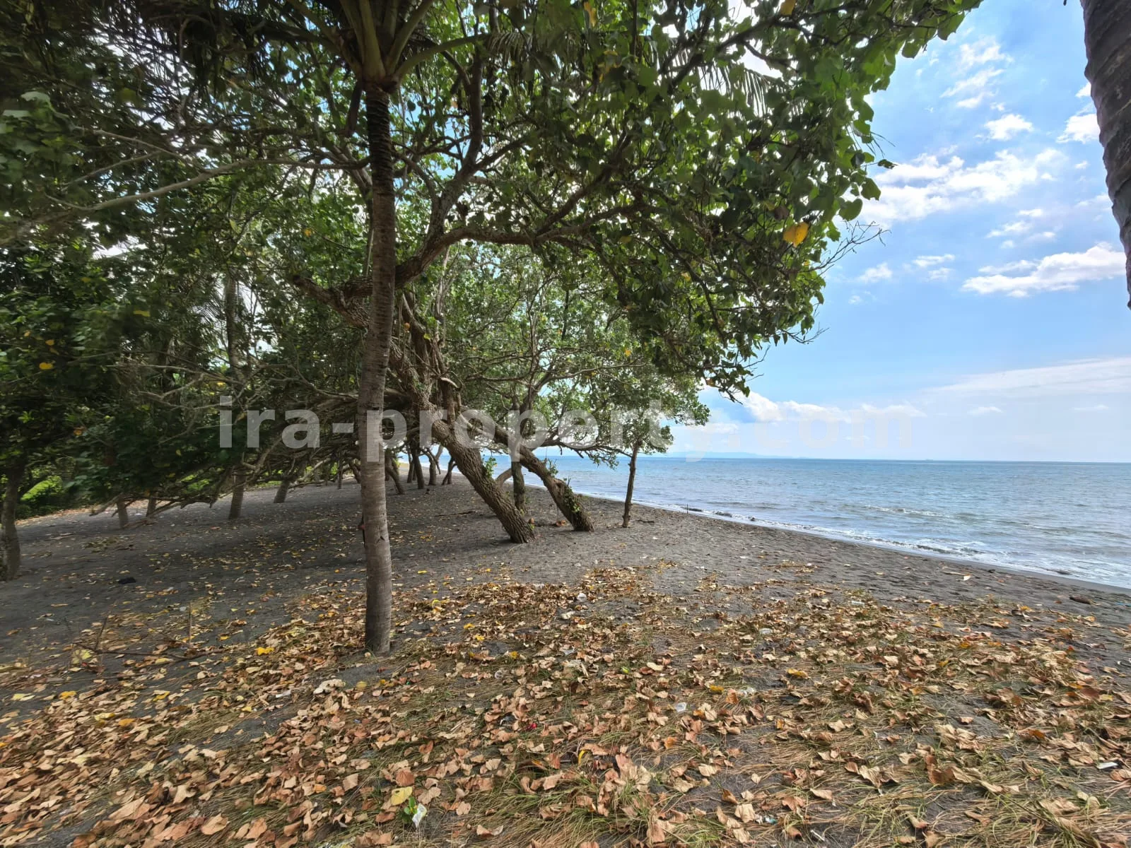Beachfront Land for Sale in Kuranji, West Lombok - 426 - 2