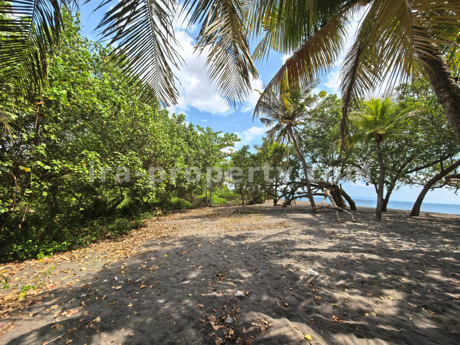 Beachfront Land for Sale in Kuranji, West Lombok - 426 - 3