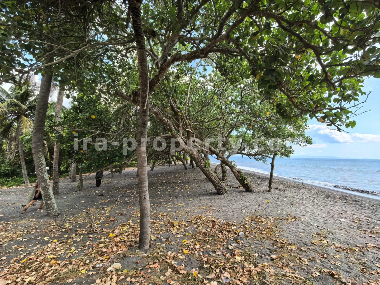 Beachfront Land for Sale in Kuranji, West Lombok - 426 - 5