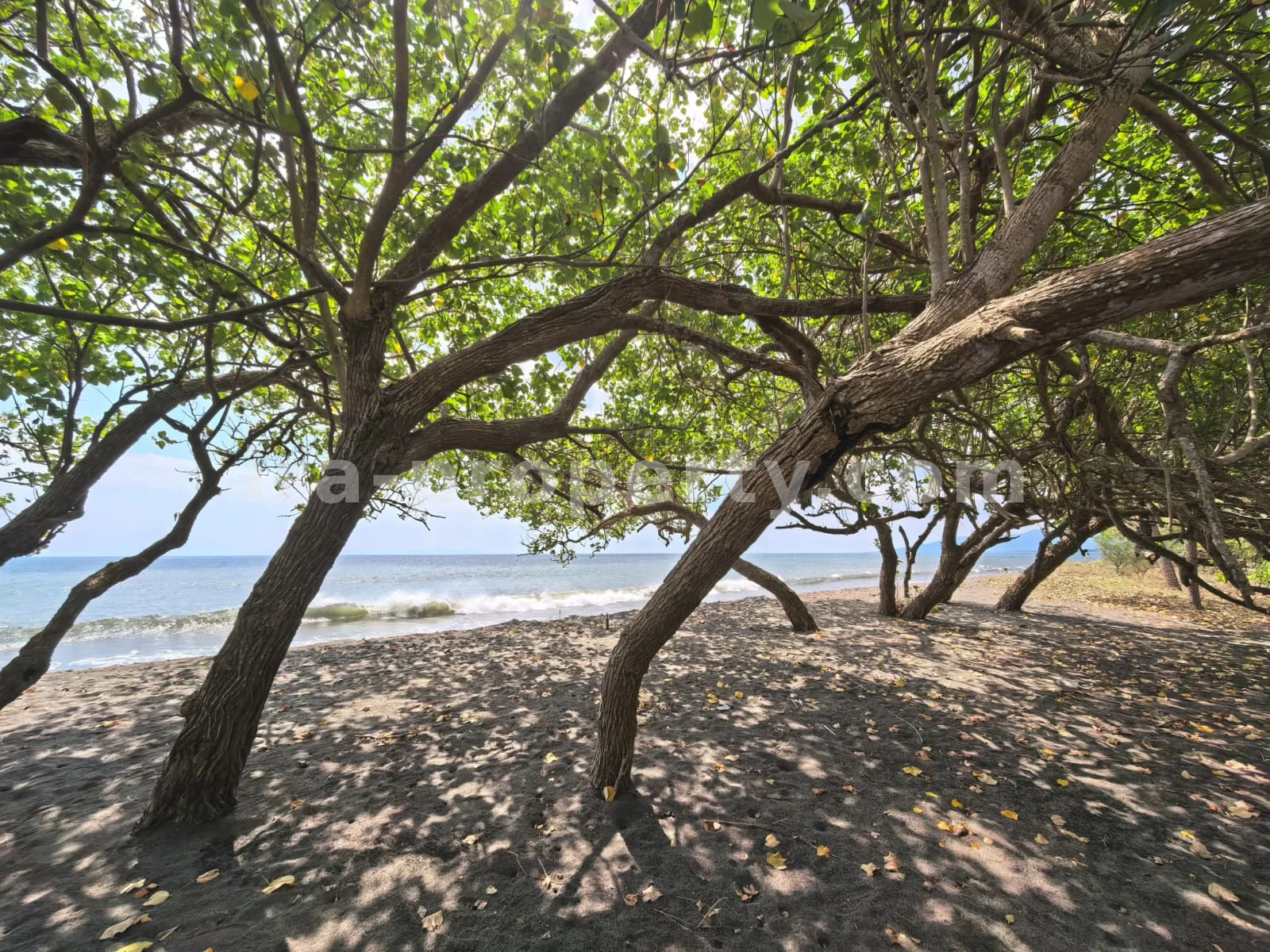 Beachfront Land for Sale in Kuranji, West Lombok - 426 - 6