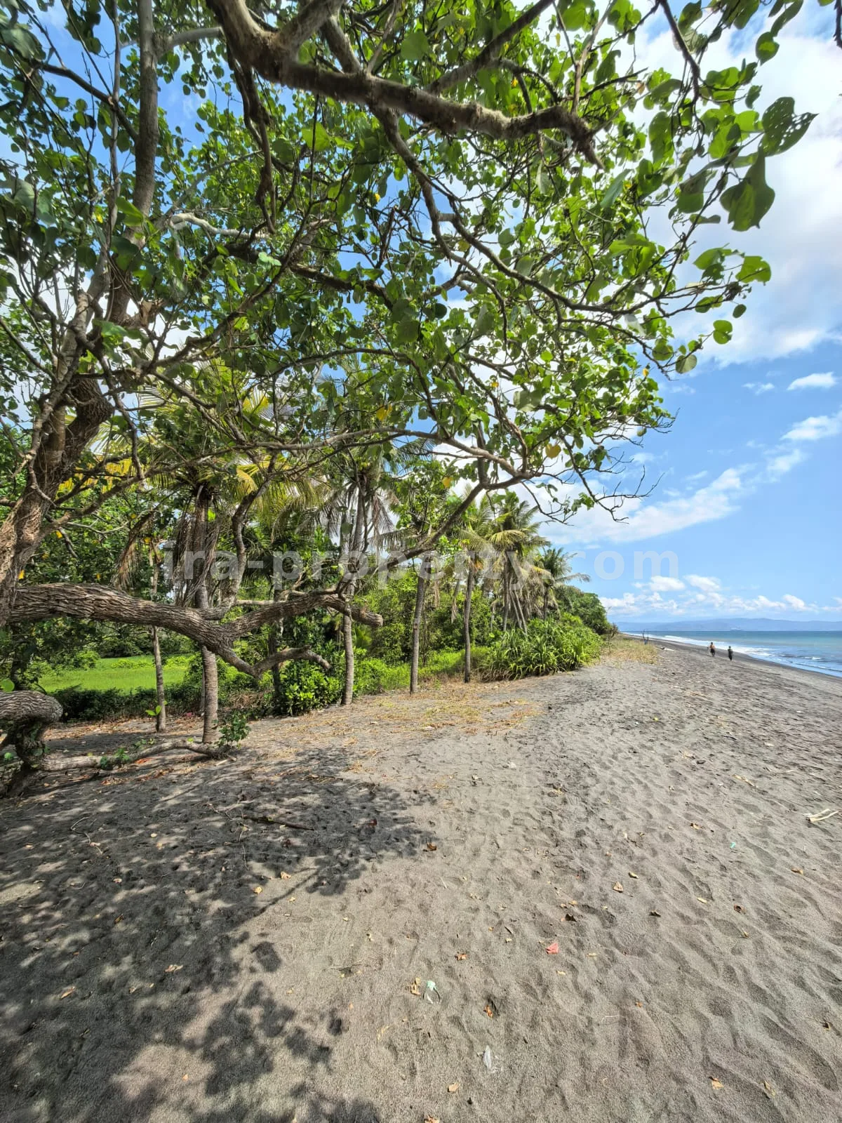 Beachfront Land for Sale in Kuranji, West Lombok - 426 - 7