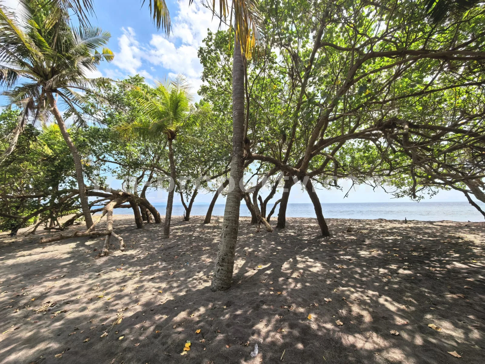 Beachfront Land for Sale in Kuranji, West Lombok - 426 - 8
