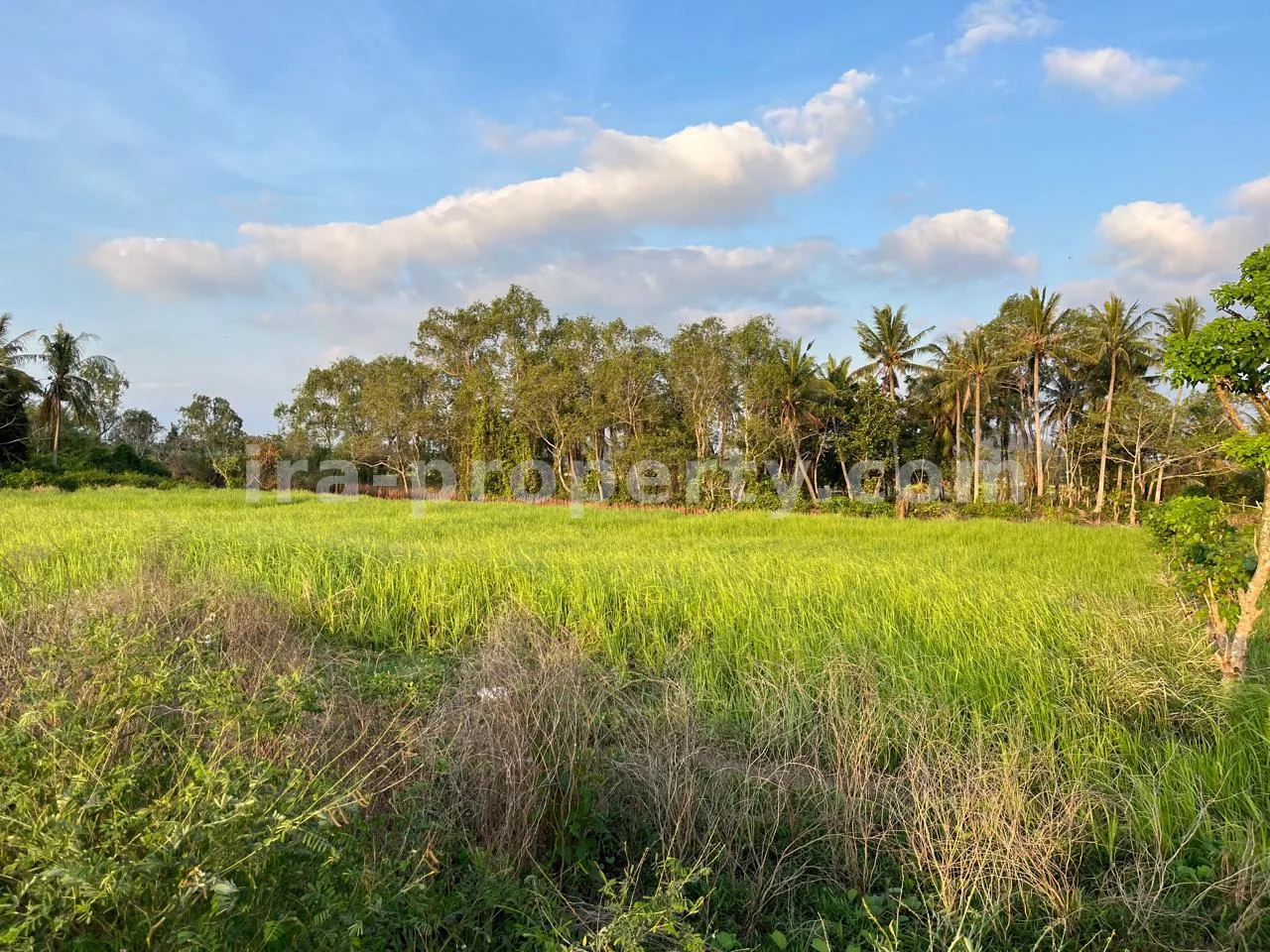 Flexible 20 to 40-Are Beachfront Plot – Pink Zone Tourism Land in Kuranji, West Lombok - 410-3 - 3