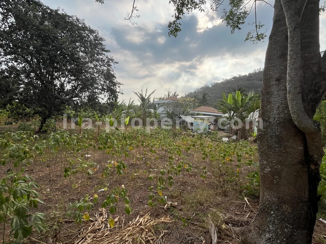 Tanah Perbukitan Strategis di Kerandangan Dekat Senggigi - 406-2 - 1