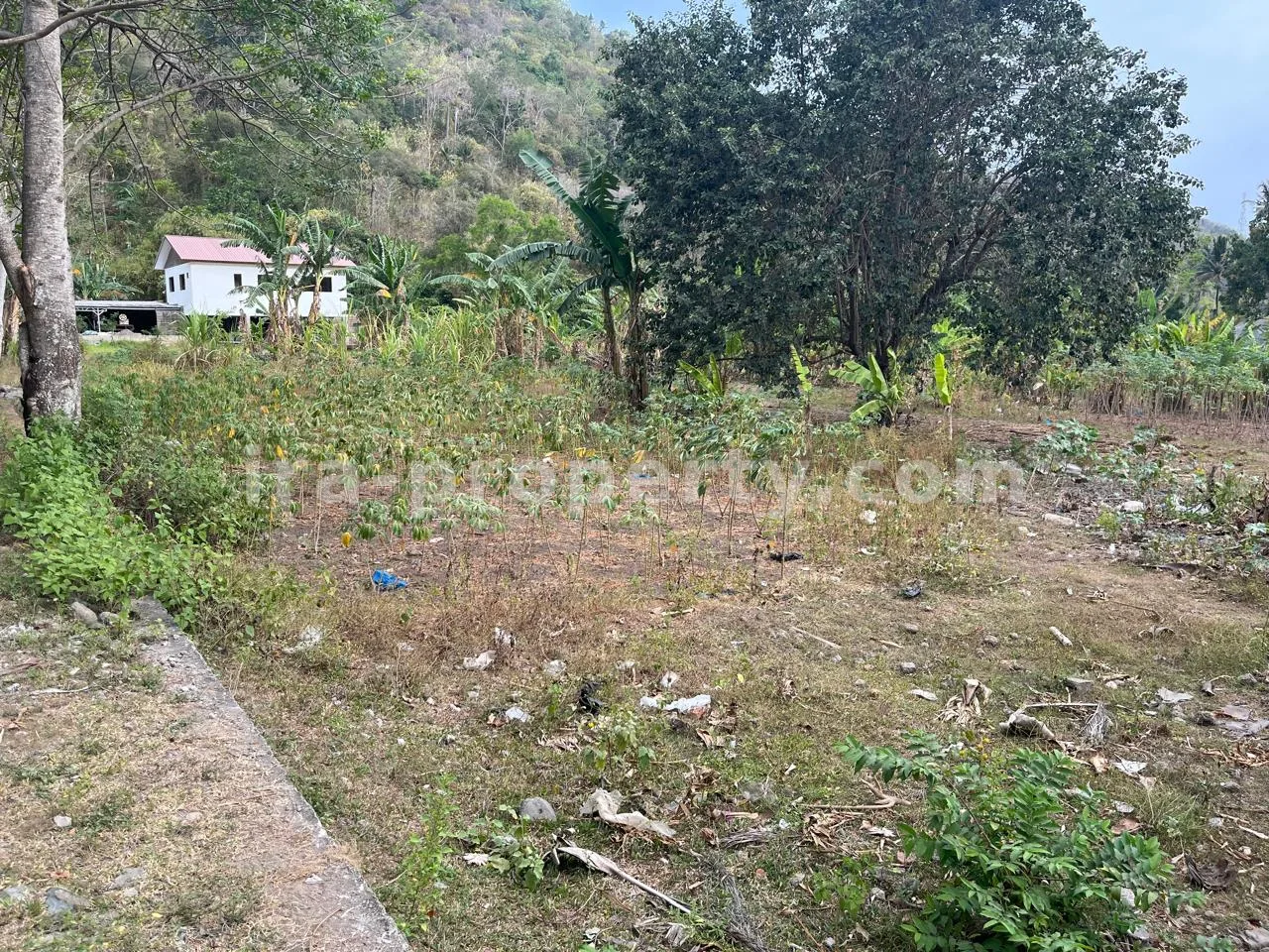 Tanah Perbukitan Strategis di Kerandangan Dekat Senggigi - 406-2 - 6