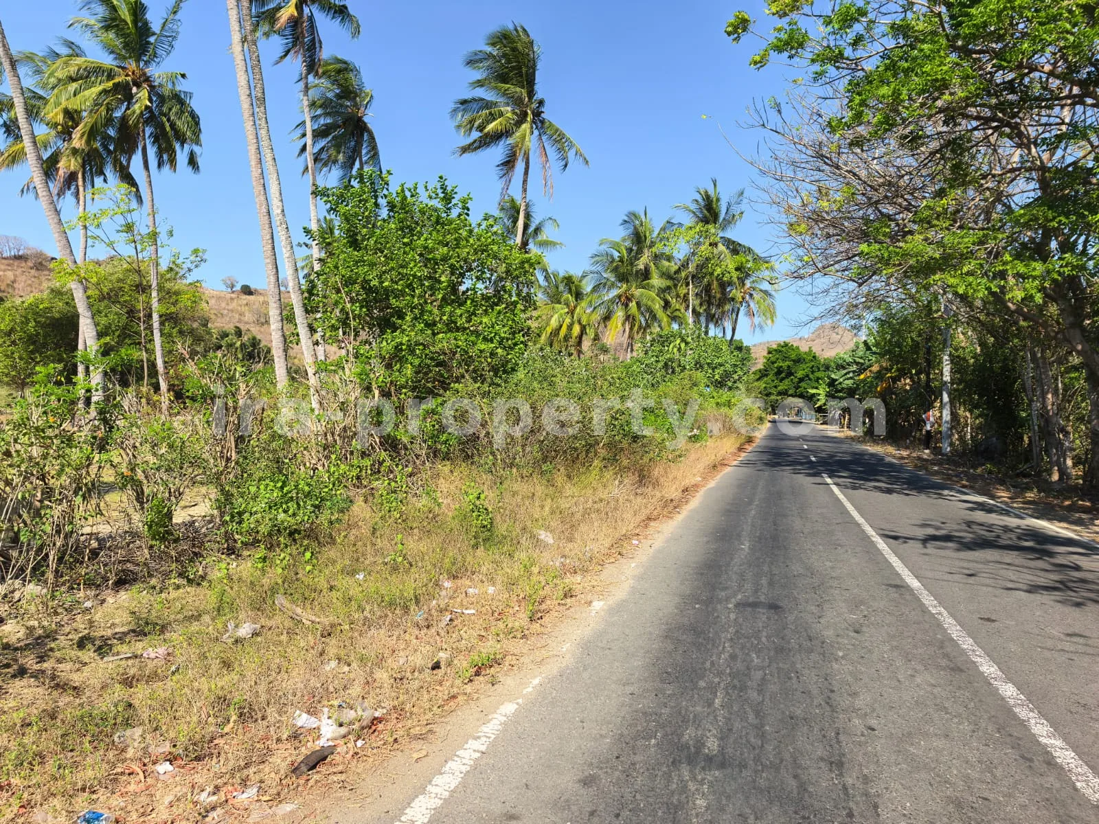 Tanah Tepi Pantai Luas di Sekotong, Lombok Barat - 214 - 4