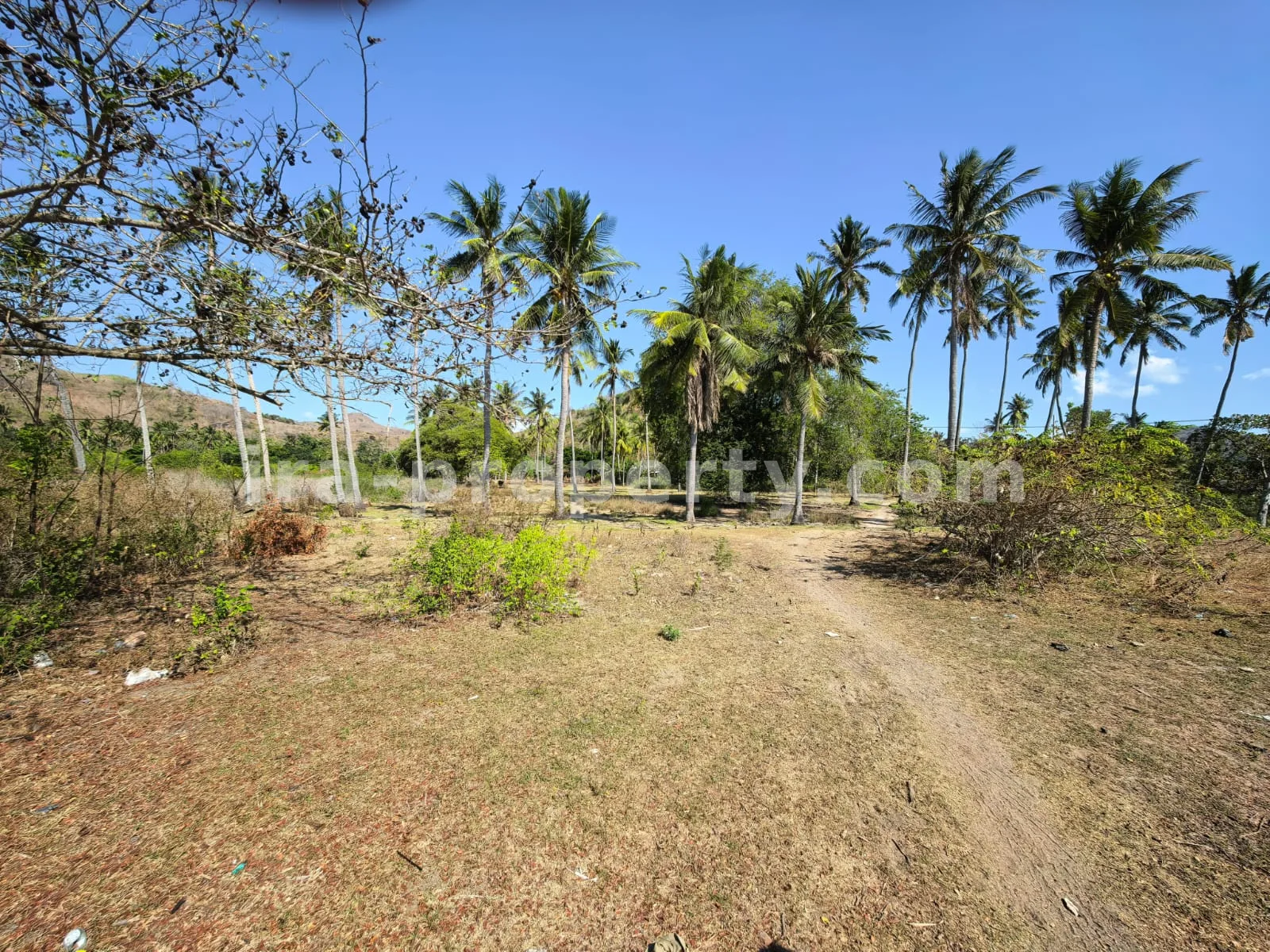 Tanah Tepi Pantai Luas di Sekotong, Lombok Barat - 214 - 5