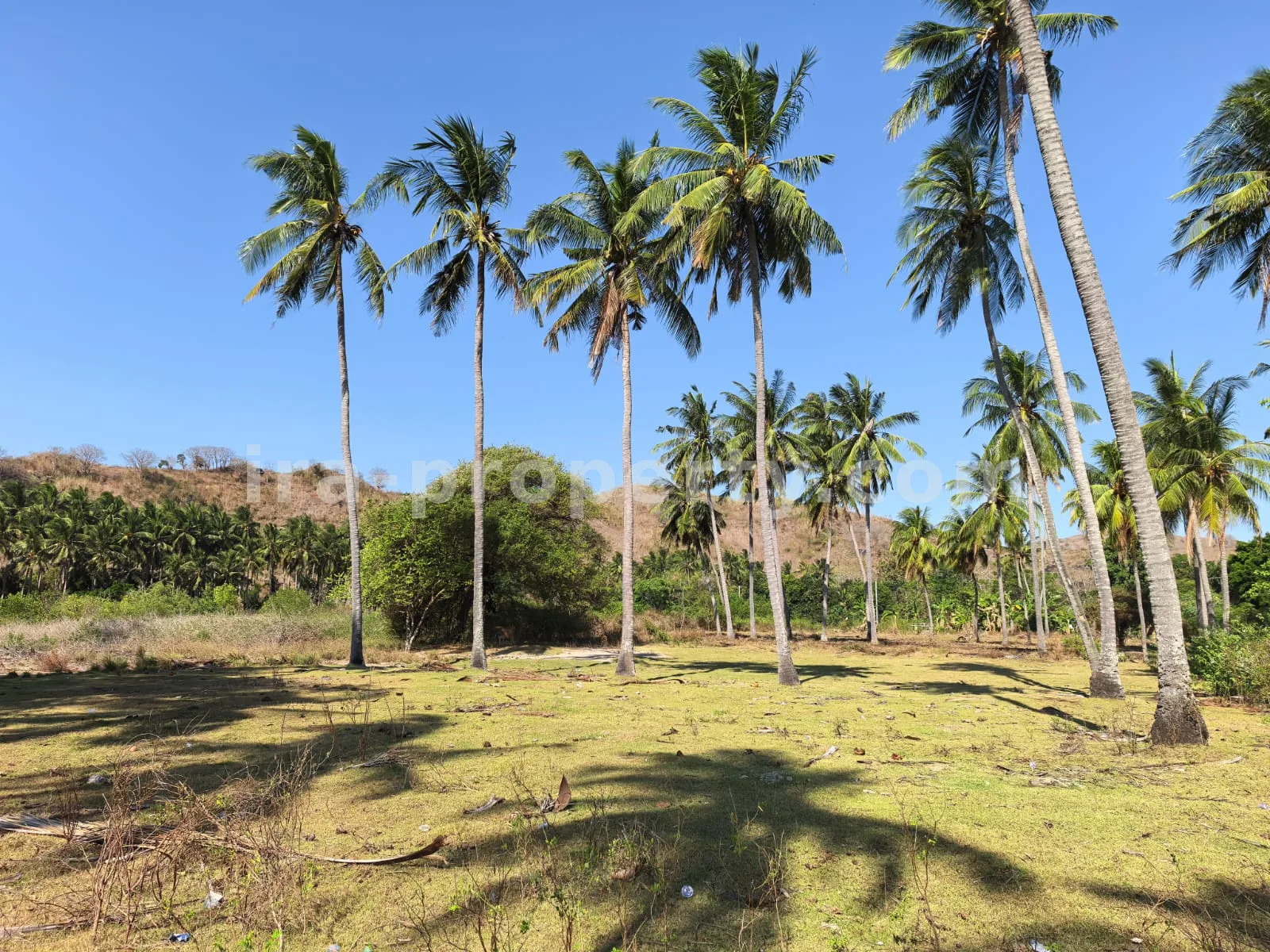 Tanah Tepi Pantai Luas di Sekotong, Lombok Barat - 214 - 6