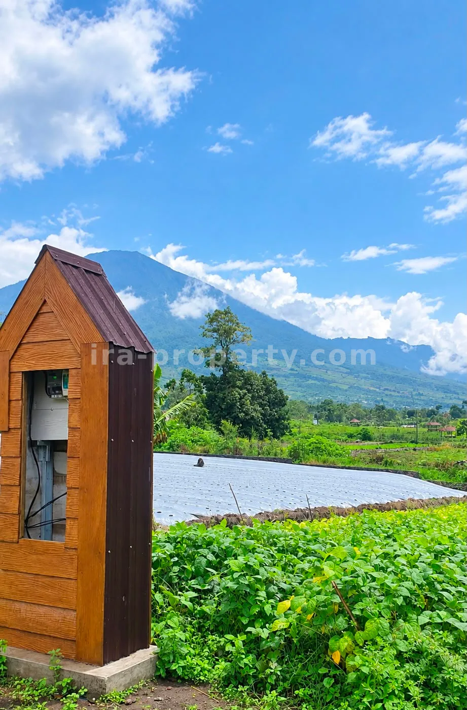 Modern House with Mount Rinjani View for Sale in Sembalun - 1043 - 2