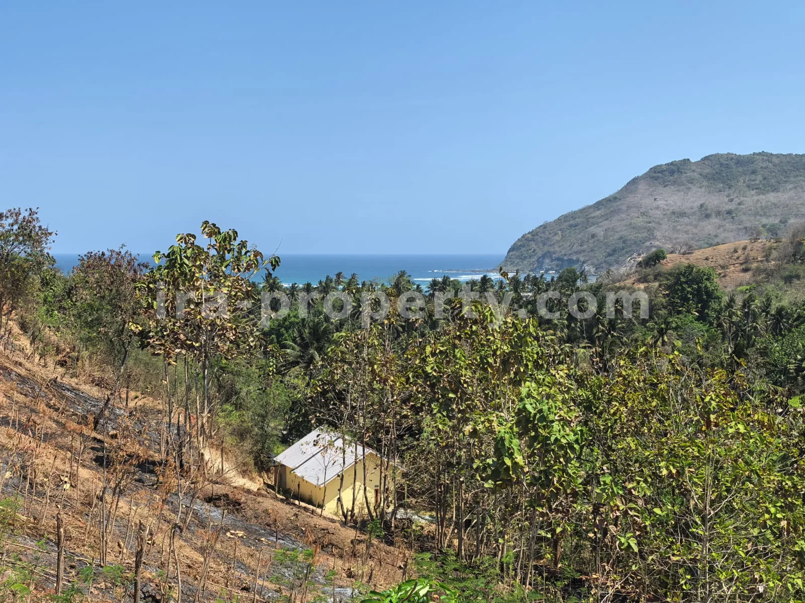 Ocean-View Land Plots in Prabu Areguling near Kuta Mandalika - 537 - 11