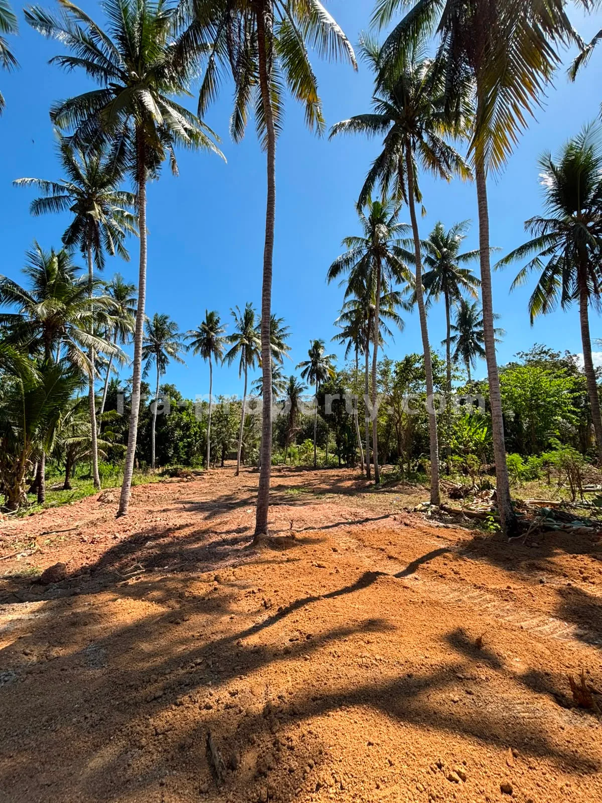 Ocean-View Land Plots in Prabu Areguling near Kuta Mandalika - 537 - 17