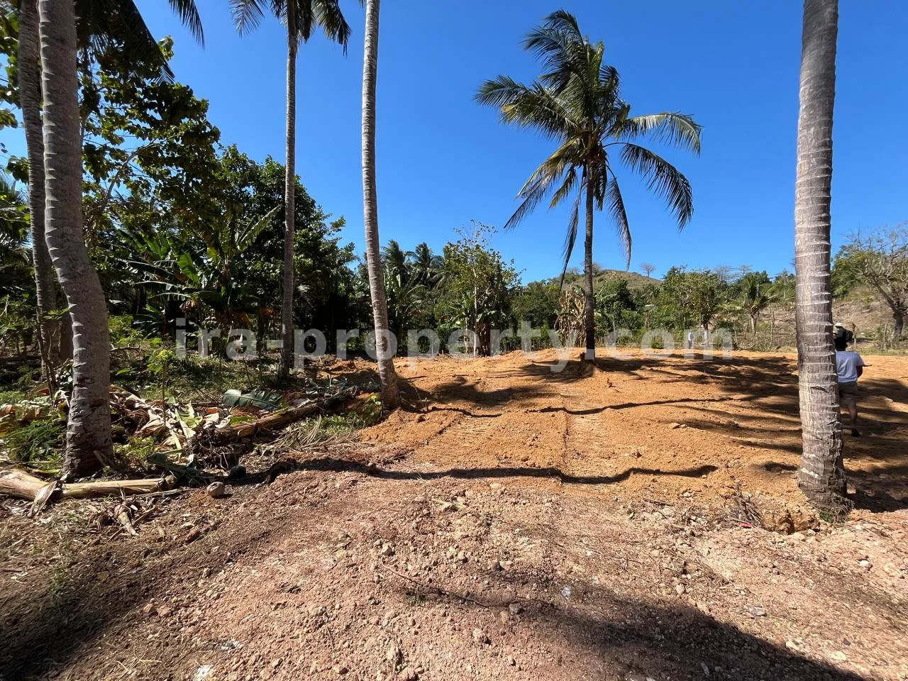 Ocean-View Land Plots in Prabu Areguling near Kuta Mandalika - 537 - 8