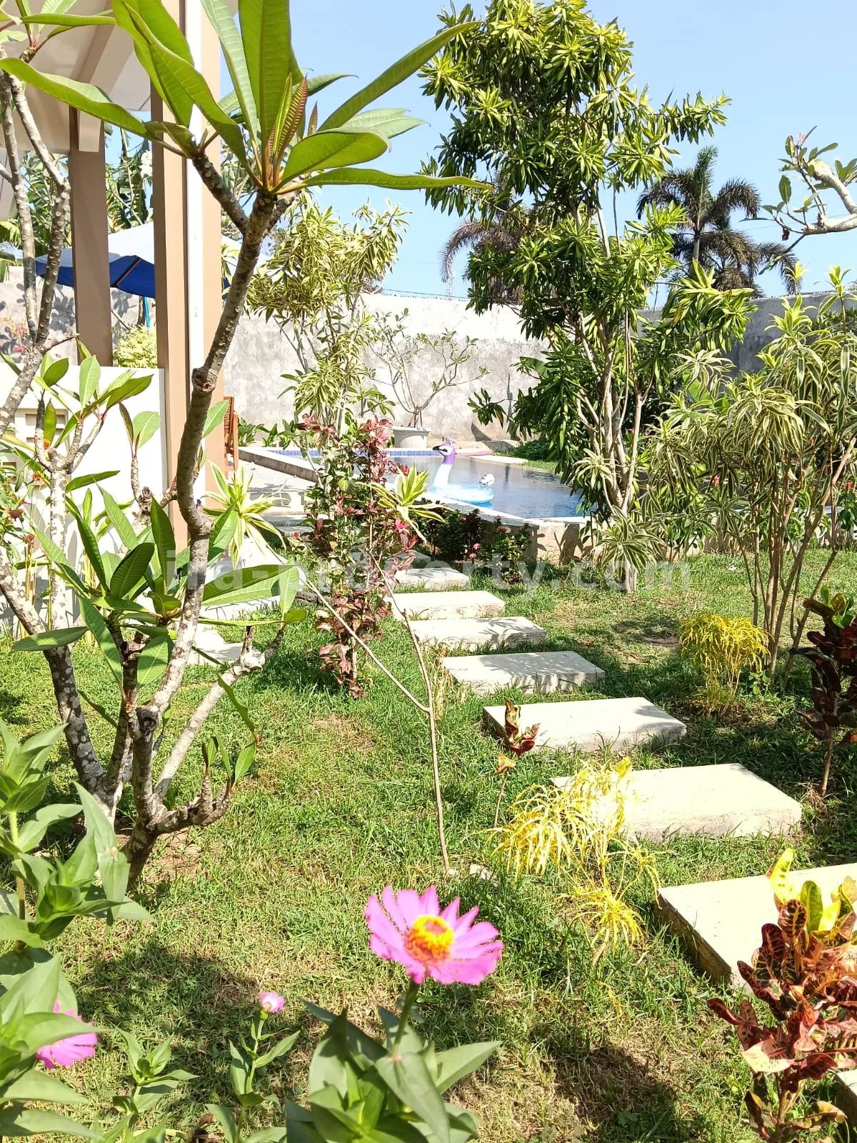 Villa dengan Kolam Renang Pribadi di Sandik, Dekat Senggigi - 455 - 6