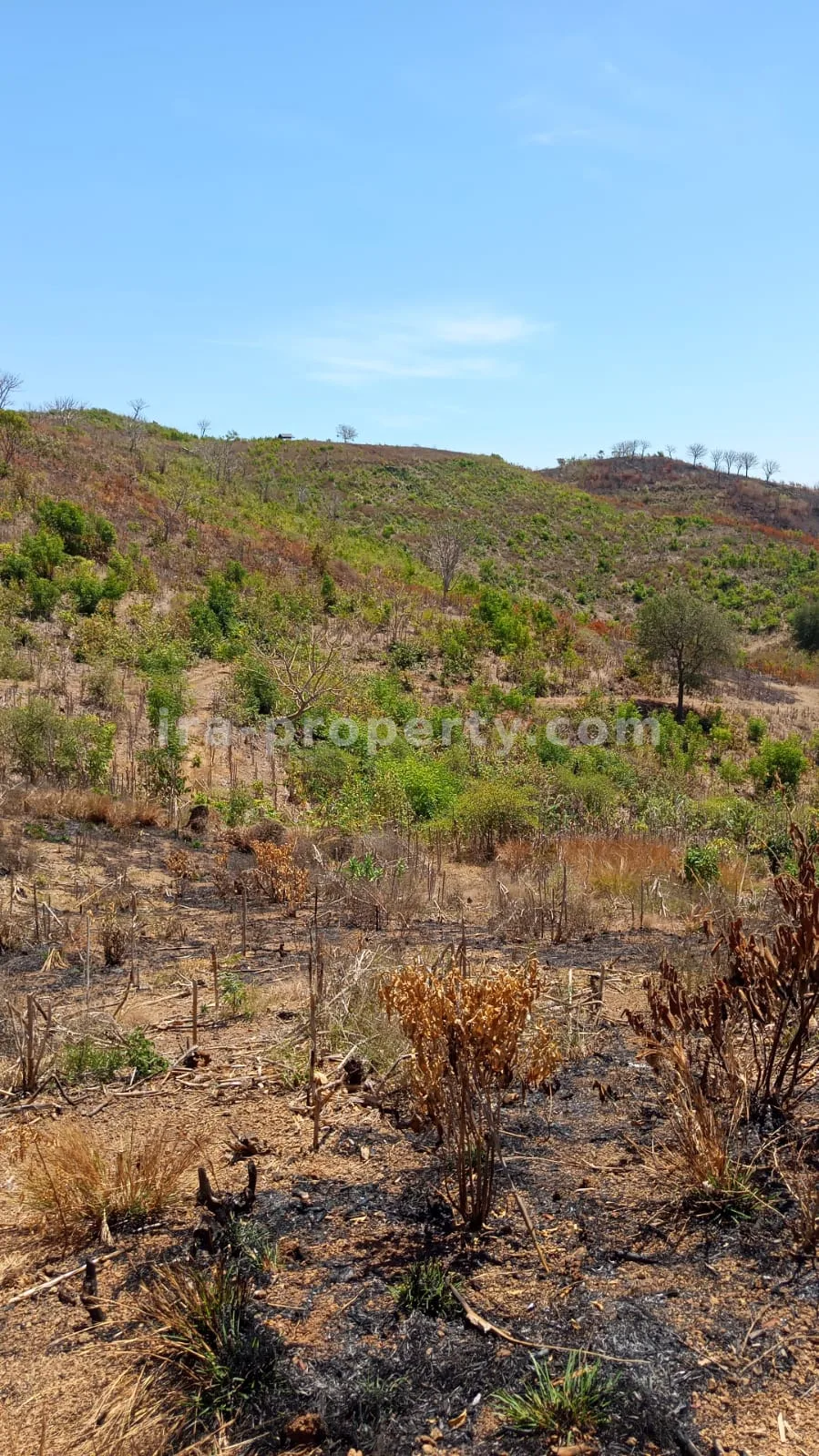 Sea View Land for Sale in Awang, Central Lombok - 559 - 3