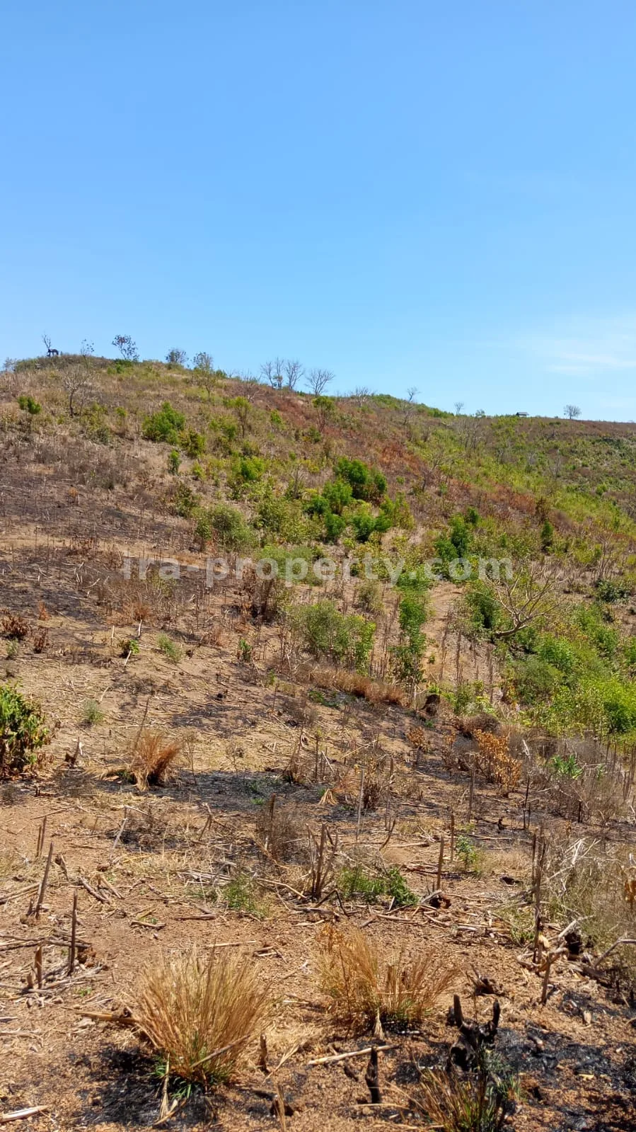 Sea View Land for Sale in Awang, Central Lombok - 559 - 4