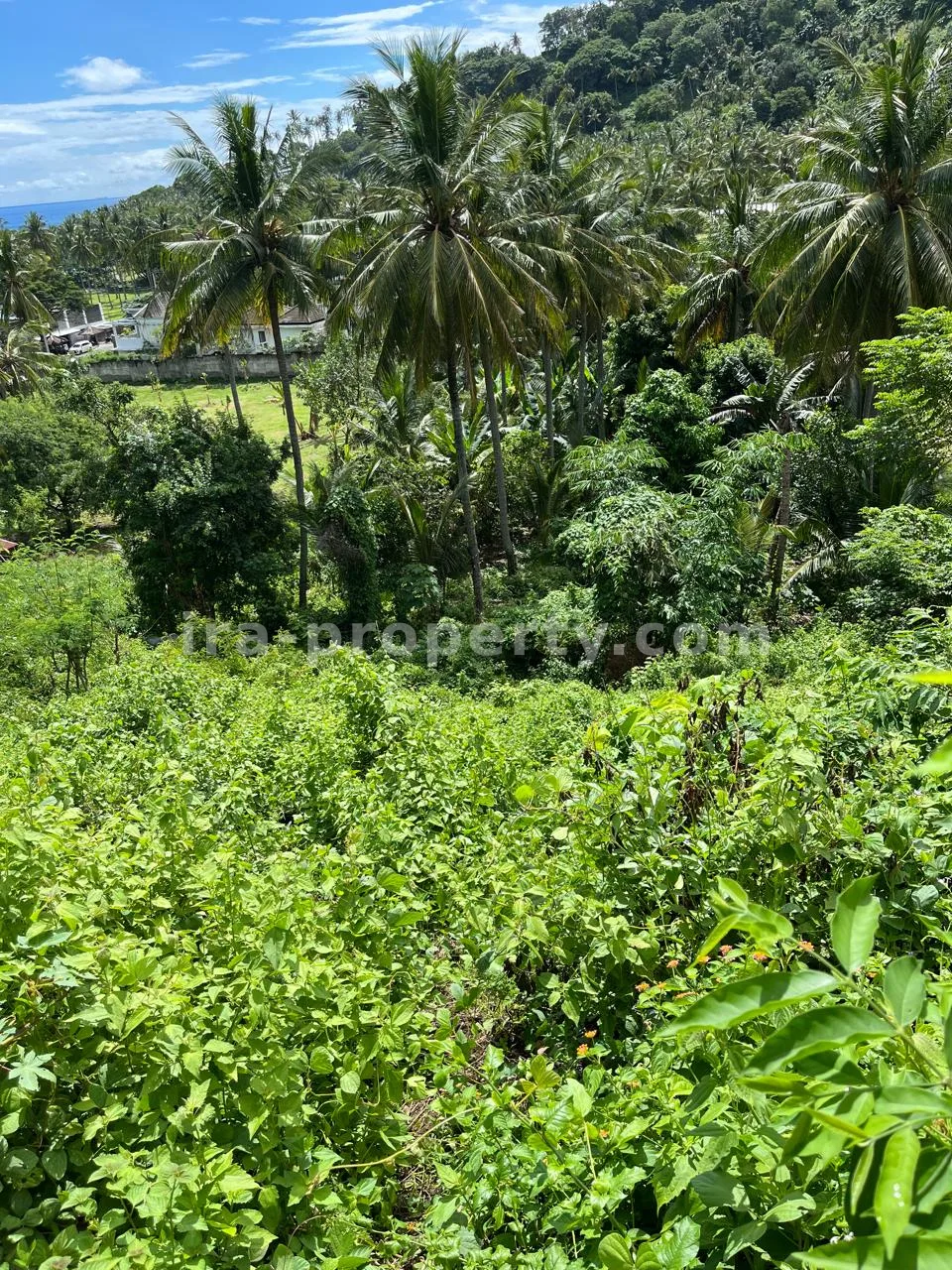 Tanah Wisata Pemandangan Laut untuk Dijual di Depan Jeeva Klui Resort, Senggigi - 400 - 2