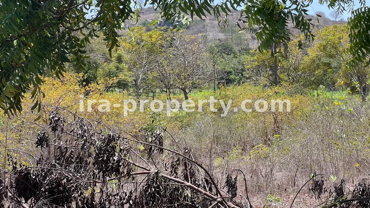 Tanah · Kuta Mandalika · foto 3 dari 5 Tanah Pantai di Bumbang, dekat Kuta Mandalika - 473 - 3