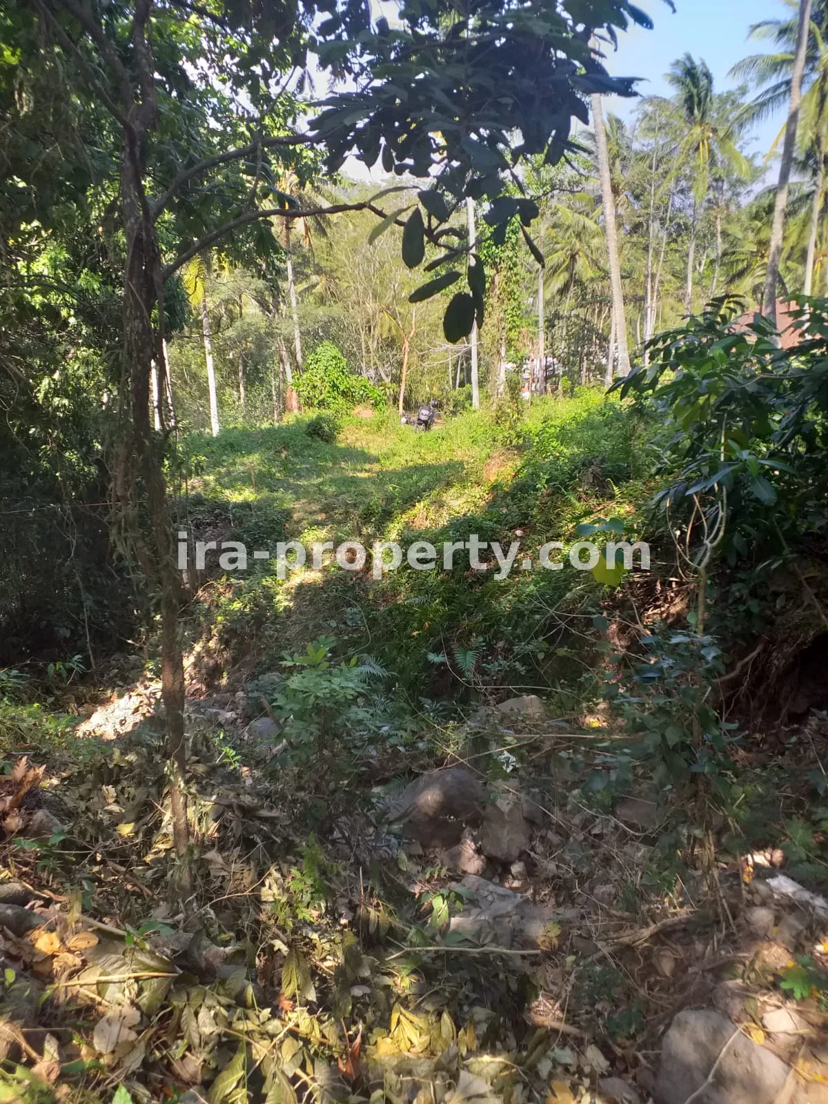 Tanah · Senggigi Lombok Barat · foto 1 dari 8 Tanah Dijual Dekat Senggigi, Kawasan Wisata Kerandangan - 369 - 1
