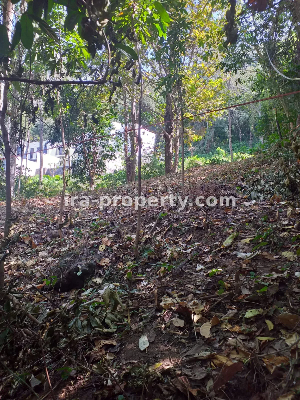 Tanah · Senggigi Lombok Barat · foto 3 dari 8 Tanah Dijual Dekat Senggigi, Kawasan Wisata Kerandangan - 369 - 3