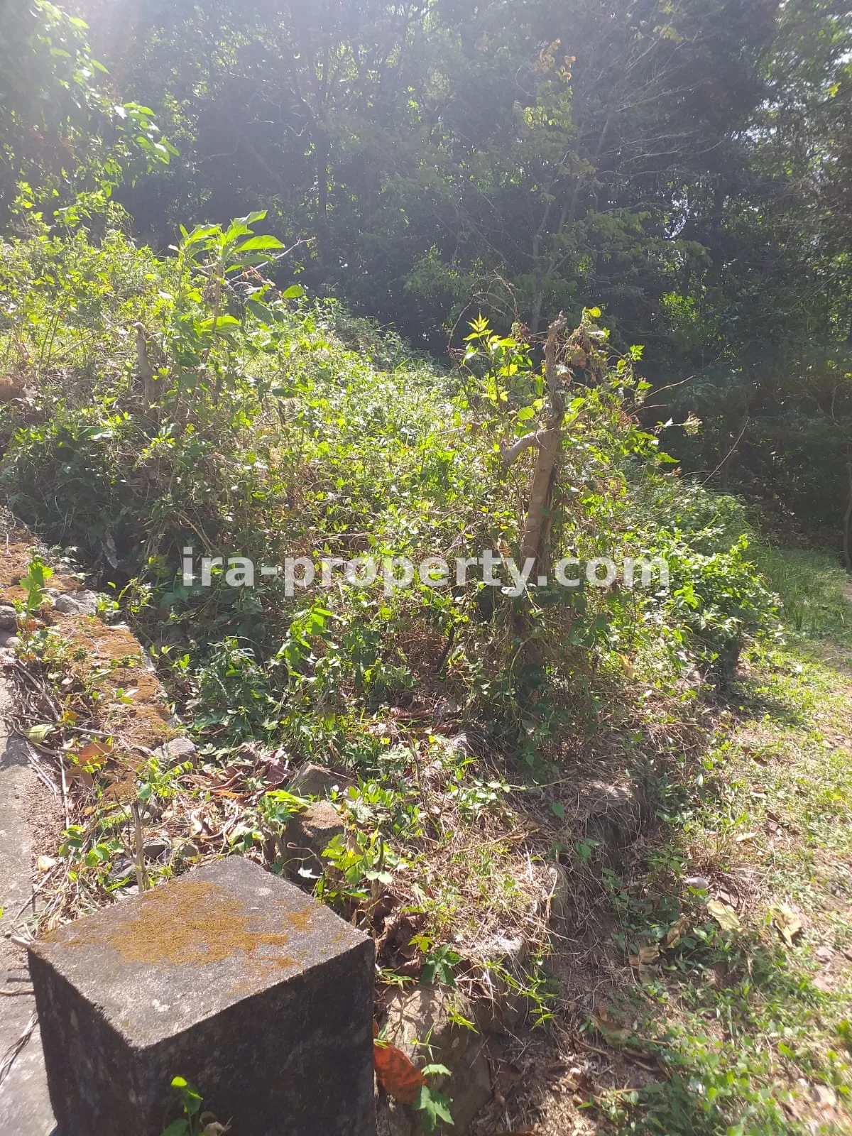 Tanah · Senggigi Lombok Barat · foto 4 dari 8 Tanah Dijual Dekat Senggigi, Kawasan Wisata Kerandangan - 369 - 4